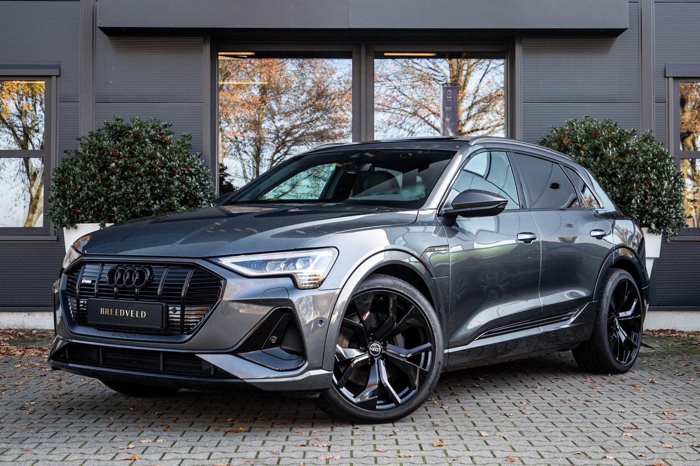 Audi e-tron - 50 quattro S edition 50 Quattro S Edition - AutoWereld.nl