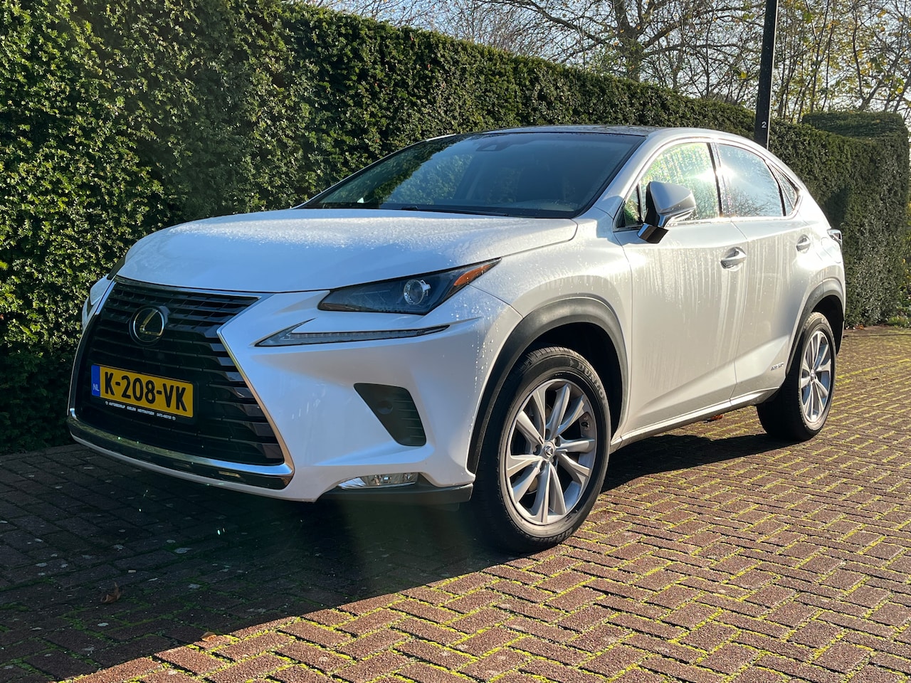 Lexus NX - 300h AWD Luxury Line Panorama dak, afn. Trekhaak, - AutoWereld.nl