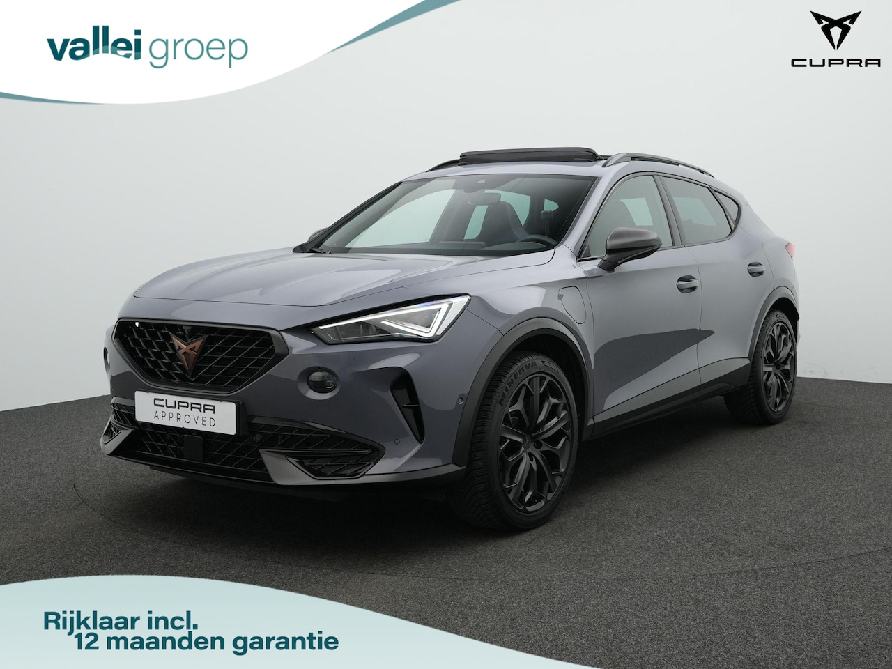 CUPRA Formentor - 1.4 e-Hybrid 245 pk DSG VZ Tribe Edition | Panoramadak | Trekhaak | Leder/alcantara | Beat - AutoWereld.nl