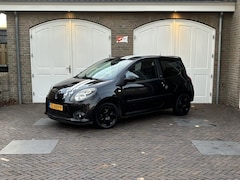 Renault Twingo - 1.2-16V Authentique Sportieve uitstraling