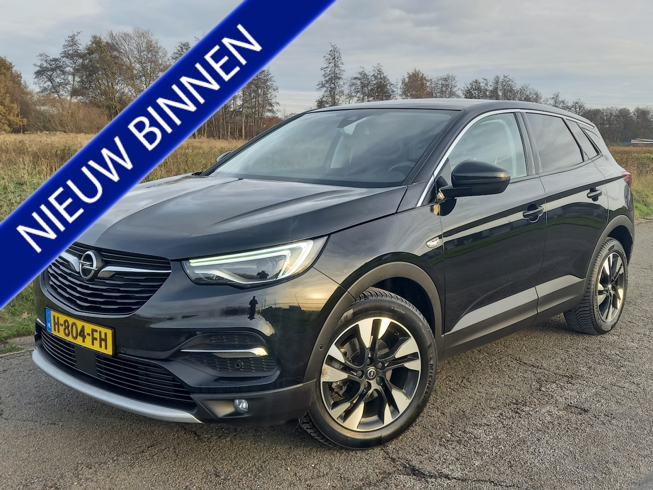 Opel Grandland X - 1.2 Turbo Business Executive 1.2 Turbo Business Executive - AutoWereld.nl