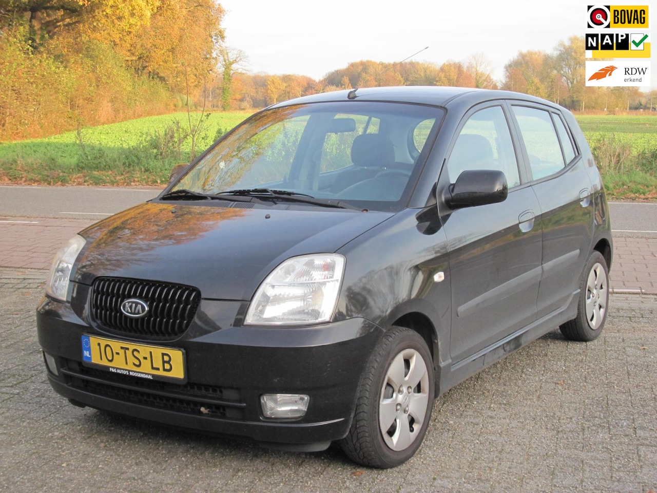 Kia Picanto - 1.0 Bling 1.0 Bling - AutoWereld.nl