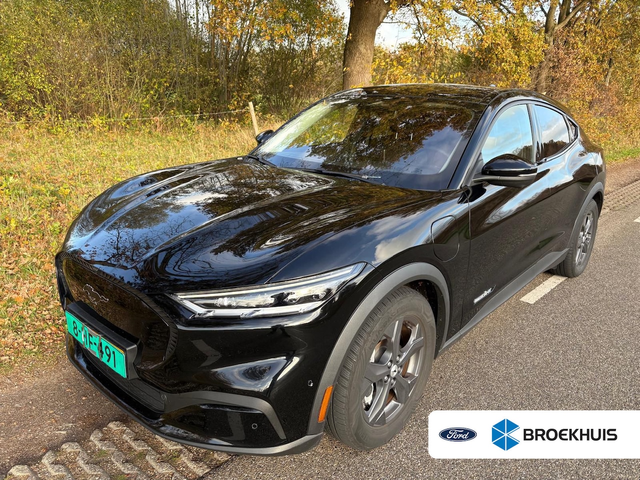 Ford Mustang Mach-E - Extended RWD 98 kWh | Cruise control adaptief met Stop&Go en stuurhulp | Elektrisch bedien - AutoWereld.nl