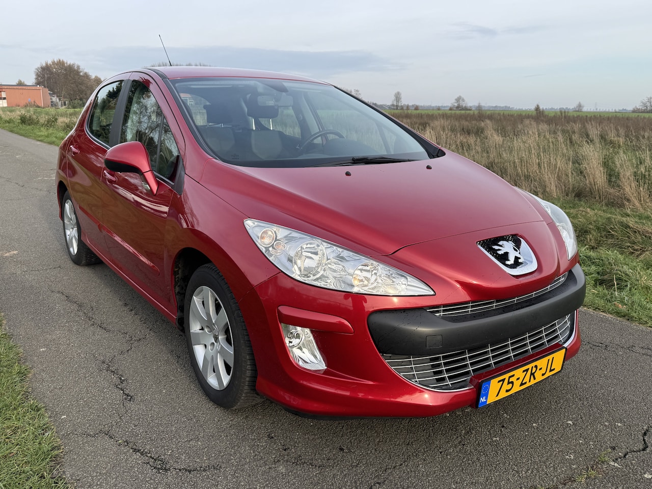 Peugeot 308 - 1.6 VTi XS ECC/Cruise/PDC/AUTOMAAT - AutoWereld.nl
