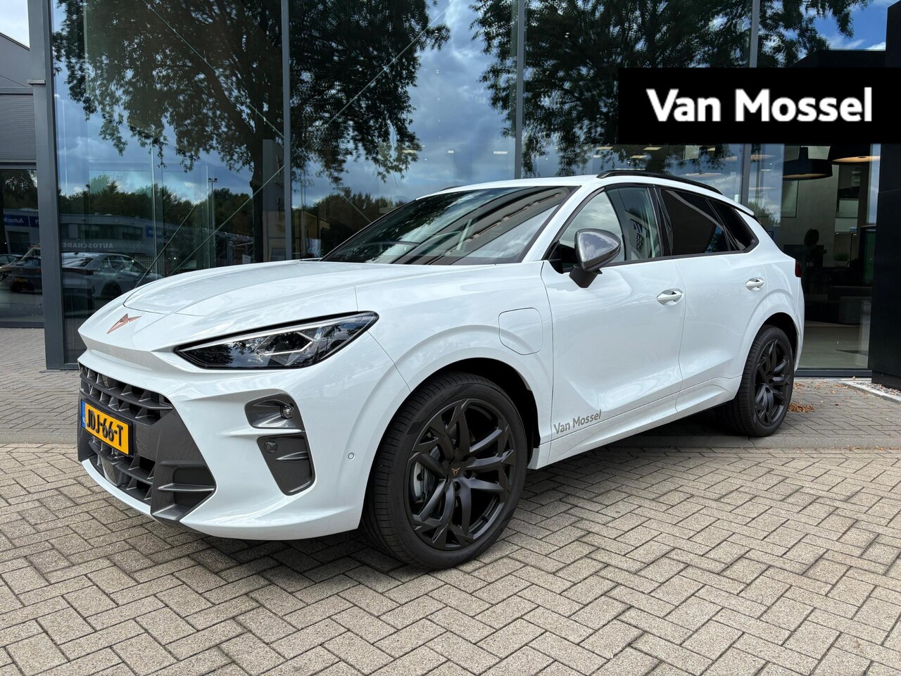 CUPRA Terramar - 1.5 TSI e-Hybrid Business 204 PK | 360 Graden Camera | Panoramaschuif-Kanteldak | Sennheis - AutoWereld.nl