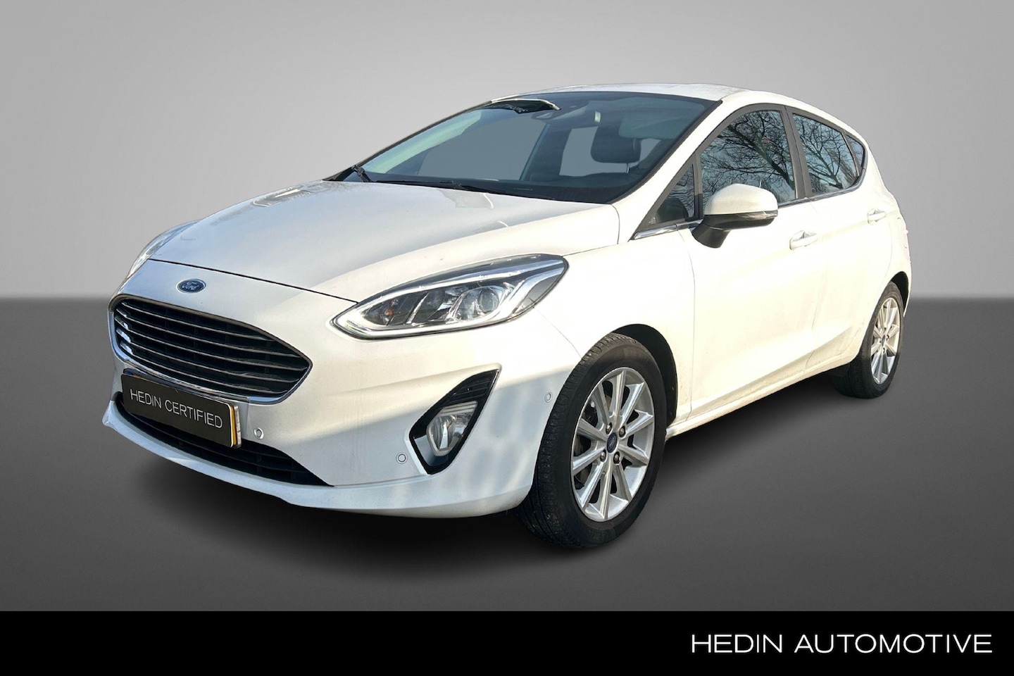 Ford Fiesta - 1.0 EcoBoost Titanium | Winter Pack | Driver Assistance | Parkeercamera | - AutoWereld.nl