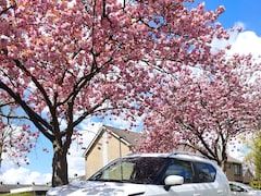 Suzuki Ignis - 1.2 Stijl