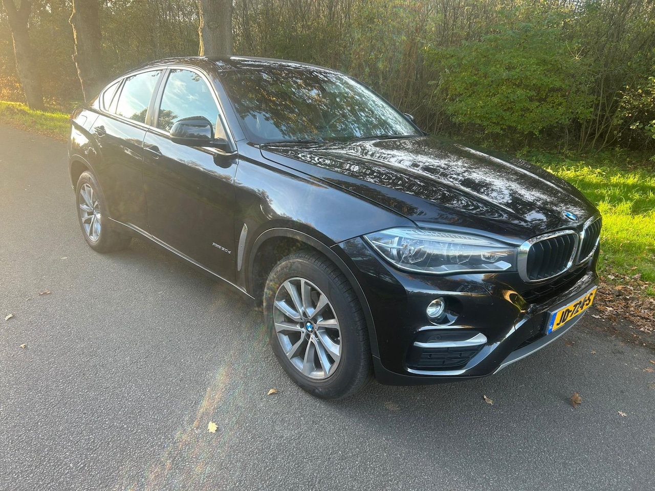 BMW X6 - xDrive30d High Executive XDrive30d High Executive - AutoWereld.nl