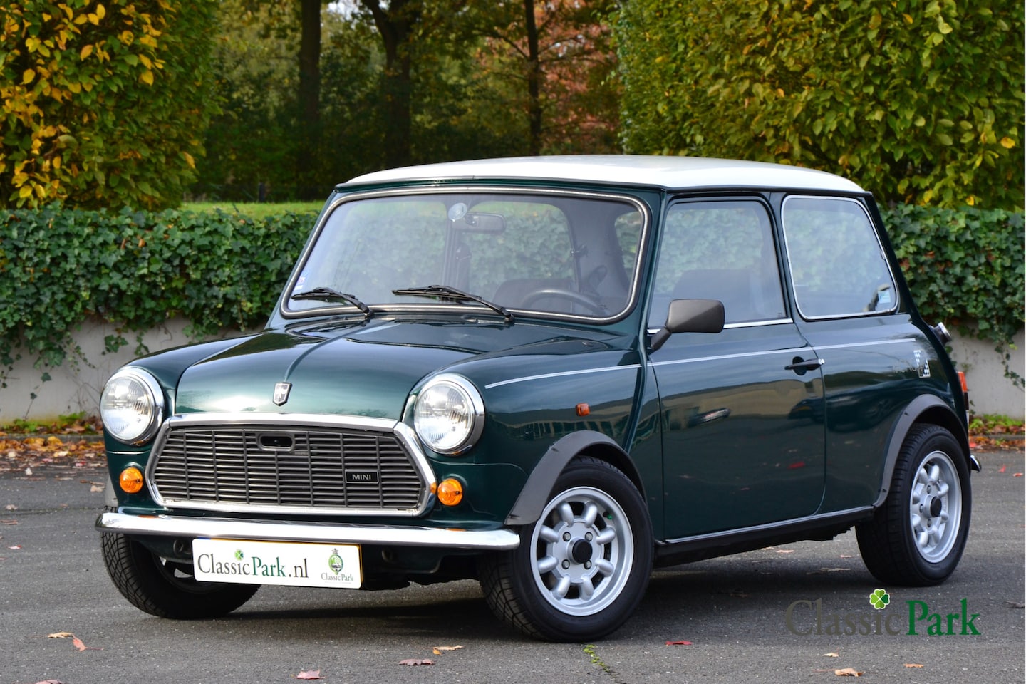 Austin Mini - 1000 E 1000 E - AutoWereld.nl