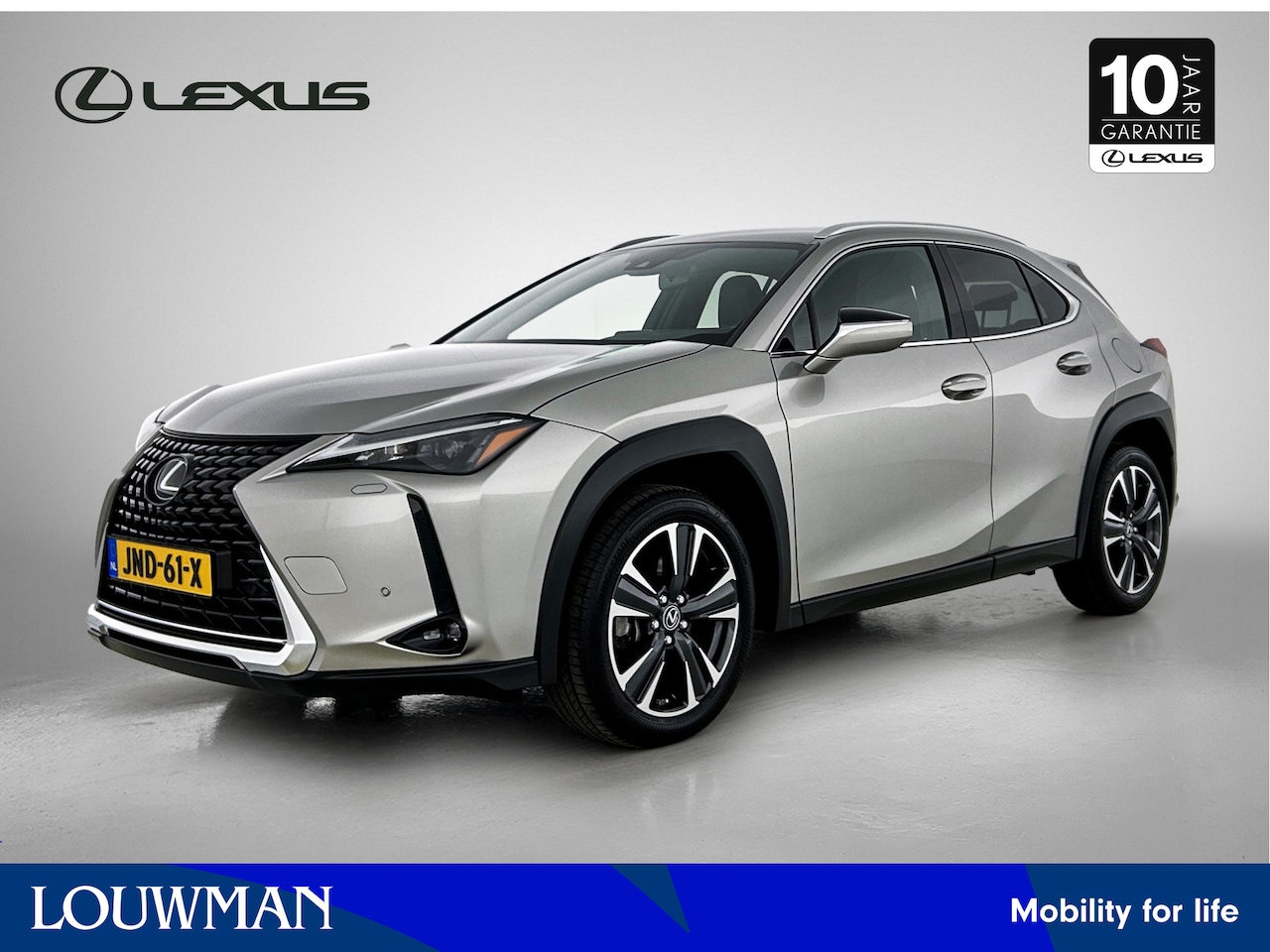 Lexus UX - 250h Business Line | Lederen bekleding | Stoelverwarming | Stuurverwarming " - AutoWereld.nl