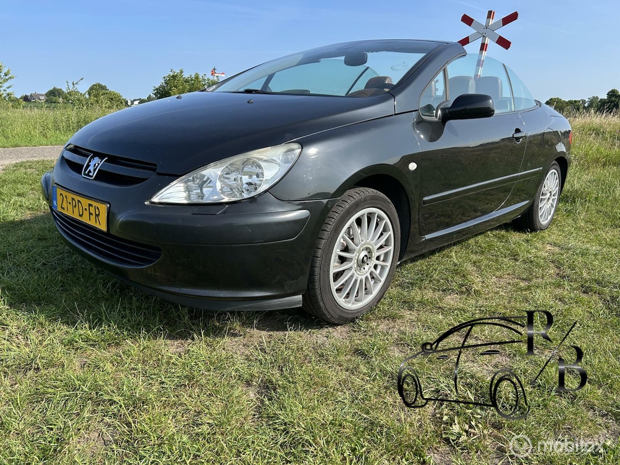Peugeot 307 CC - 2.0-16V AUTOMAAT LEER NIEUWE APK AIRCO INRUILKOOPJE - AutoWereld.nl