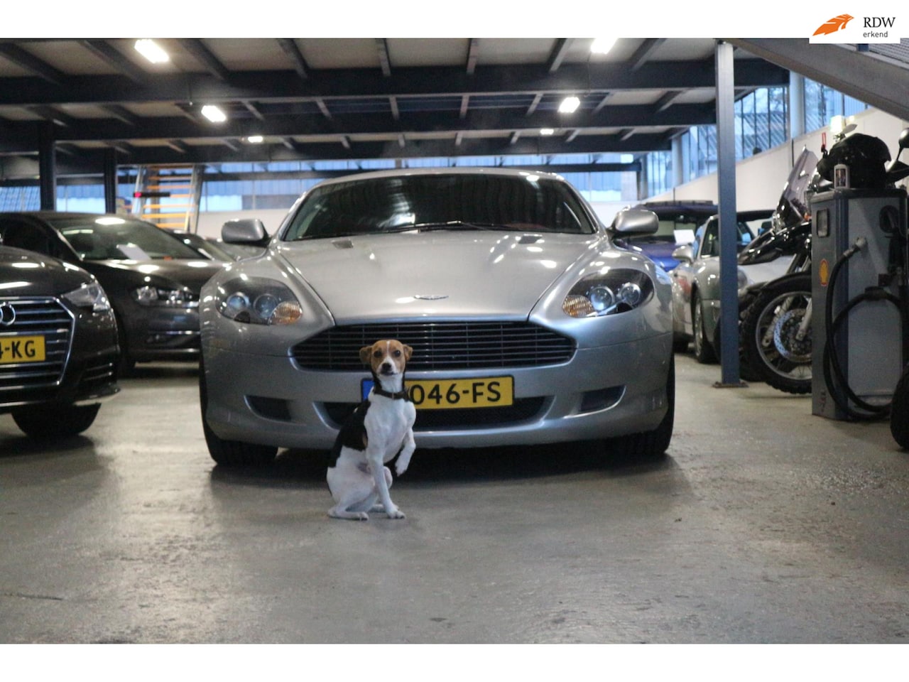 Aston Martin DB9 - 5.9 V12 / 457 PK / Gentleman's Supercar - AutoWereld.nl