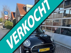 MINI One - 1.5 Pepper