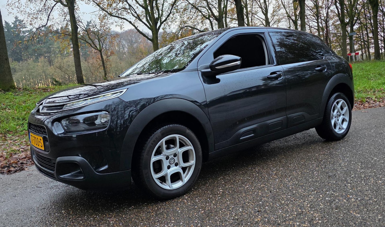 Citroën C4 Cactus - 1.2 PureTech NL Auto ! 2e Eigenaar ! - AutoWereld.nl