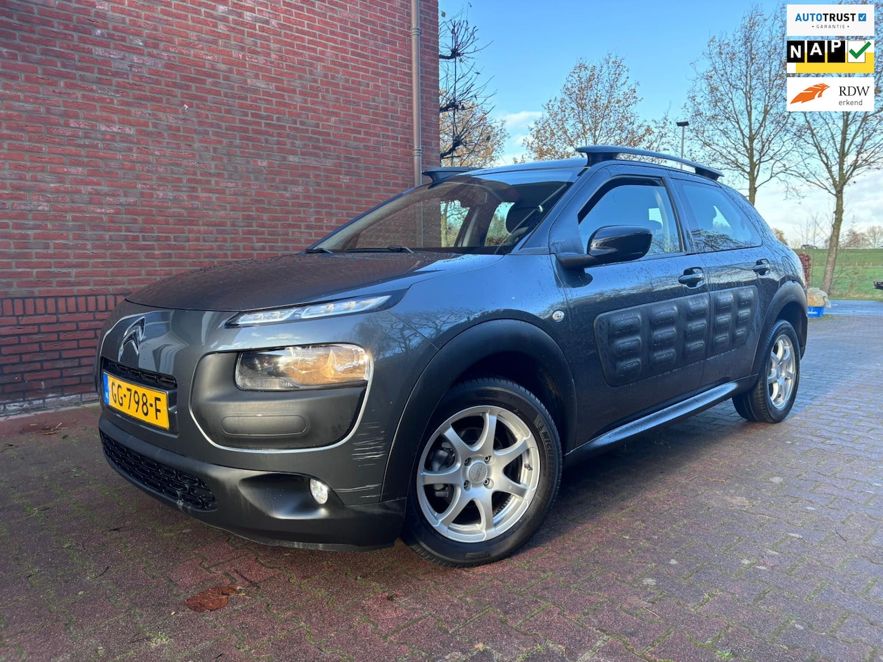 Citroën C4 Cactus - 1.2 PureTech Business 1.2 PureTech Business - AutoWereld.nl