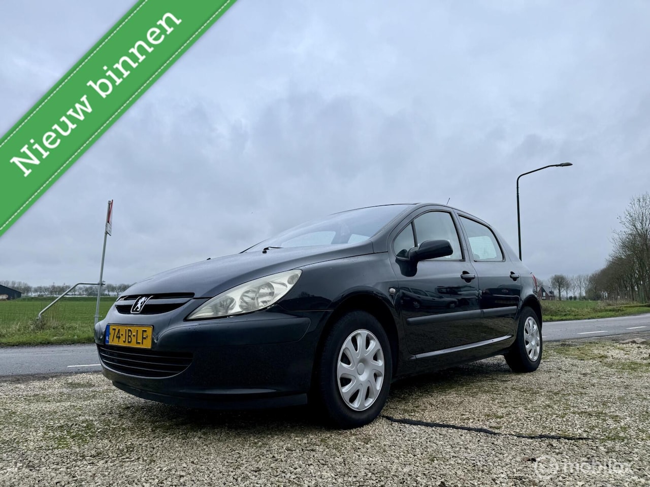 Peugeot 307 - 1.6-16V XSI 1.6-16V XSI, BJ 2002, Airco, APK, Zuinig, NAP - AutoWereld.nl