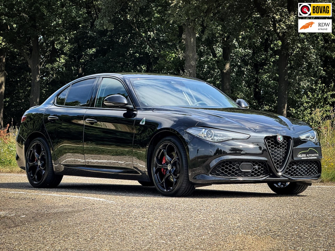 Alfa Romeo Giulia - 2.0 T AWD Veloce | Clima | Cruise | Navi | Camera | Leder | Metalic | Stoelverw. | Stuurve - AutoWereld.nl