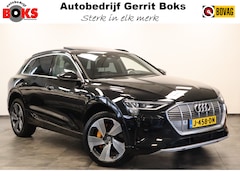 Audi e-tron - e-tron 55 quattro advanced Pro Line Plus 95 kWh ACC Lane assist Bang&Olufsen Head-UP Leder