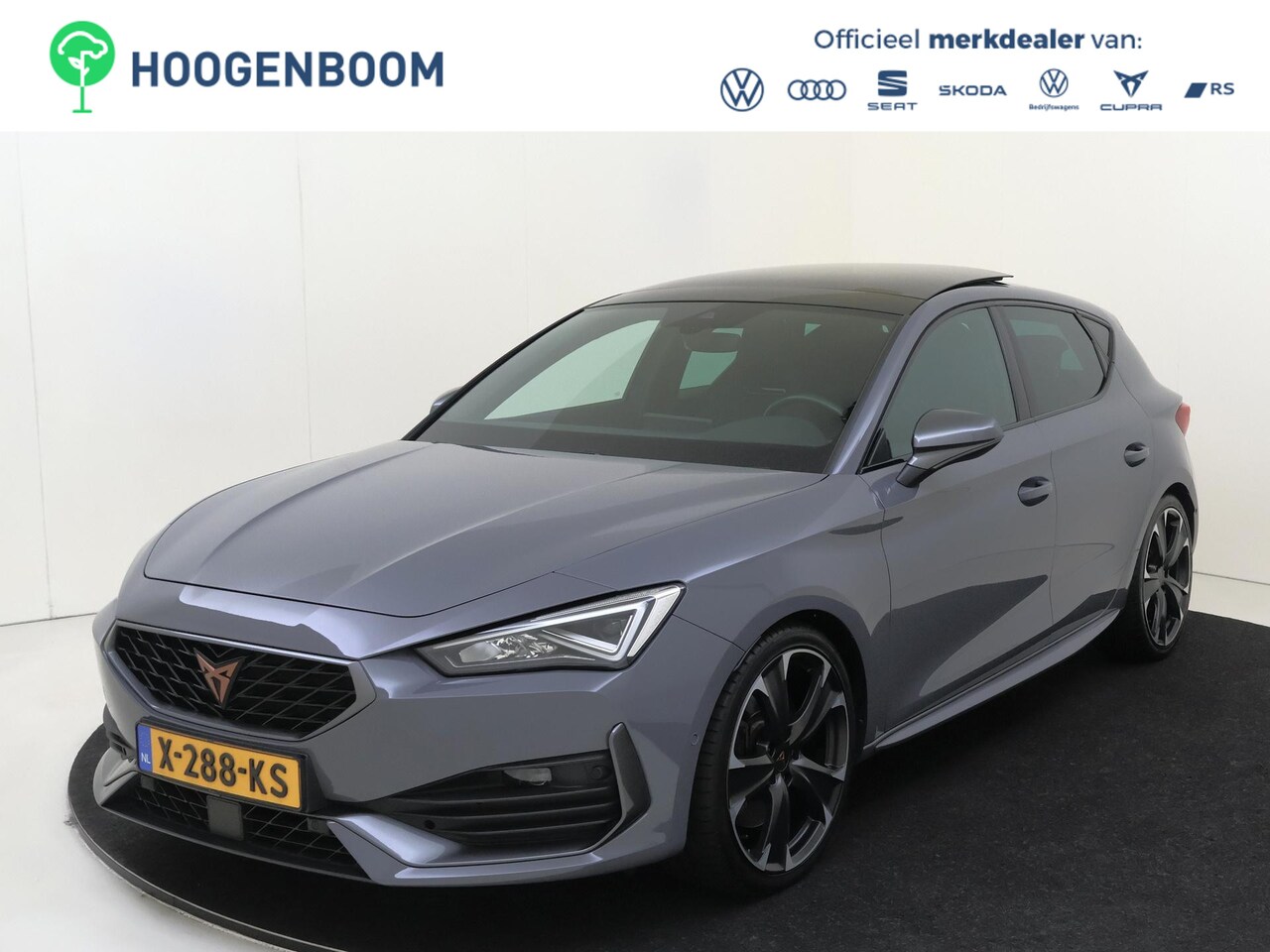 CUPRA Leon - CUPRA 300 | Panoramadak | Parkeerassistent | Adaptieve demping | Achteruitrijcamera | Dode - AutoWereld.nl