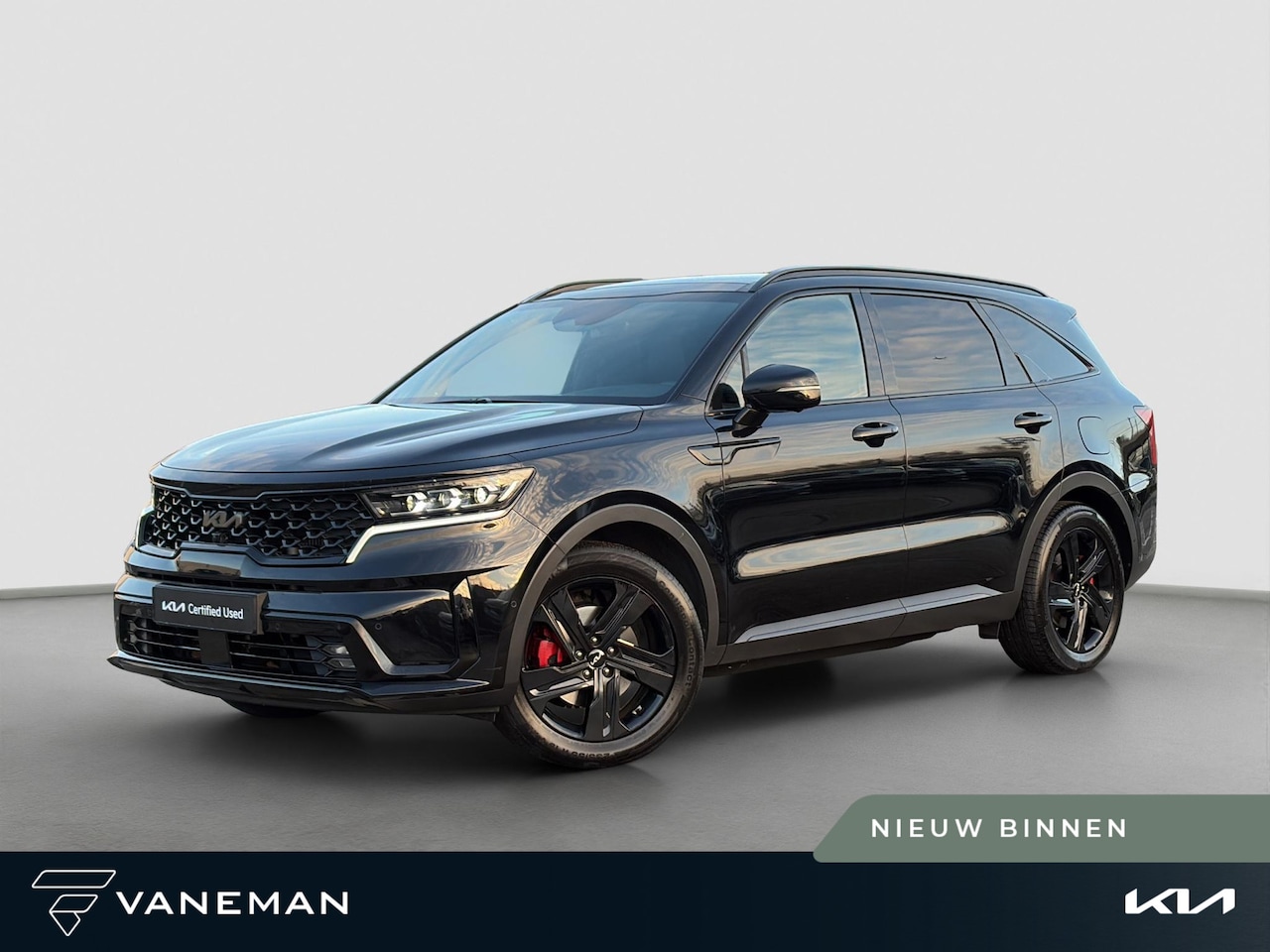 Kia Sorento - 1.6 T-GDI Hybrid 2WD ExecutiveLine 7p. Automaat | 7 Persoons | BOSE | Leder | Navi | 19” V - AutoWereld.nl