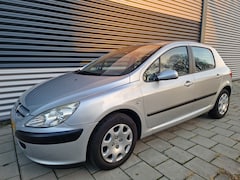 Peugeot 307 - 1.6-16V XT NAP, climatronic