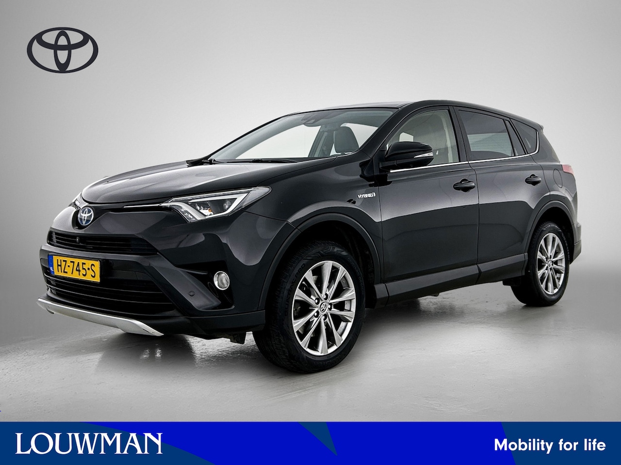 Toyota RAV4 - 2.5 Hybrid AWD Executive Business 2.5 Hybrid AWD Executive Business - AutoWereld.nl