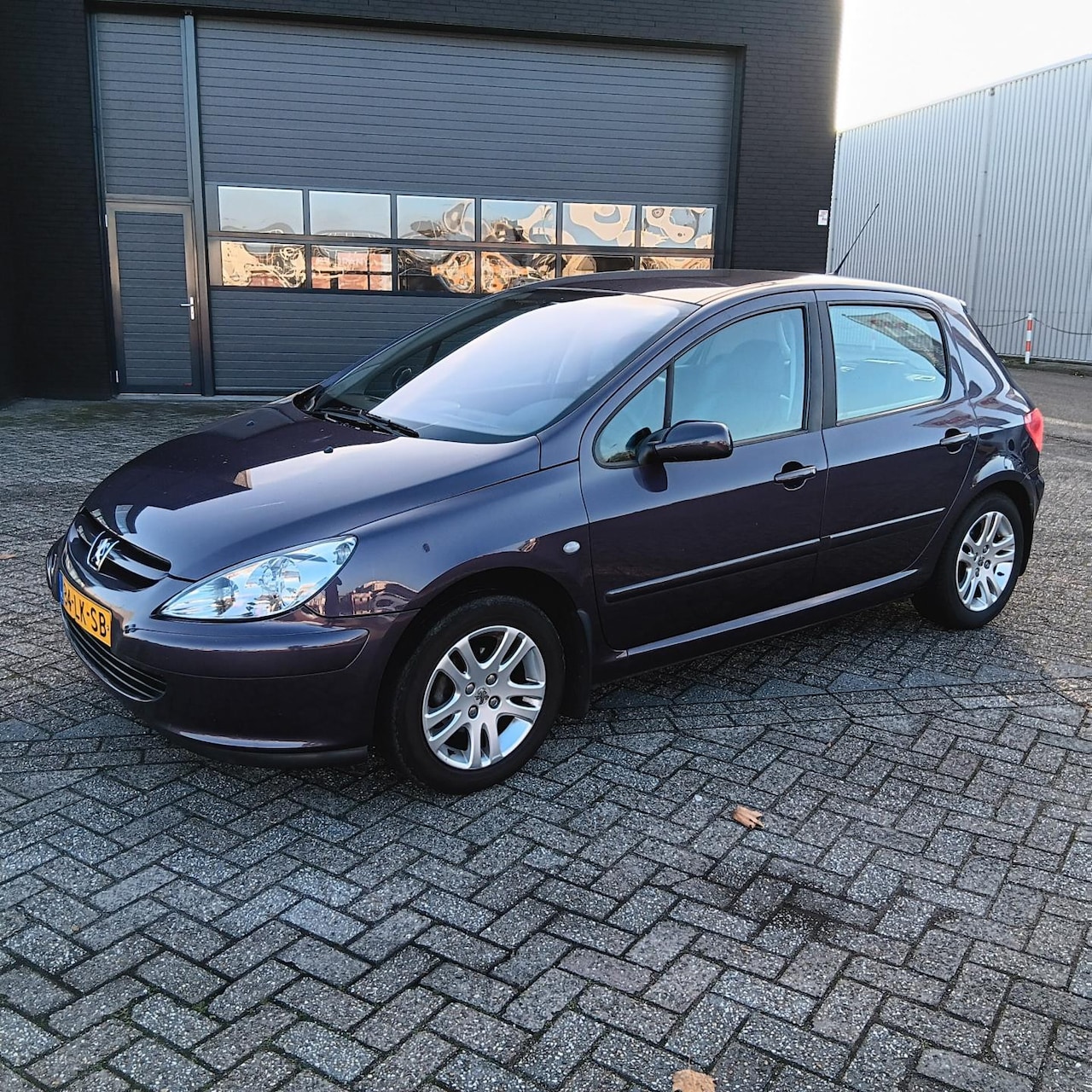 Peugeot 307 - 1.6-16V XSI 1.6-16V XSI - AutoWereld.nl