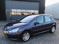 Peugeot 307 - 1.6-16V XSI