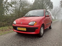 Fiat Seicento - 1100 ie Hobby Uniek wagentje INRUILKOOPJE €599