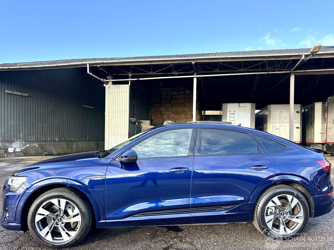 Audi e-tron Sportback - 50 Quattro 71kWh 313pk aut + f1 S-Edition - AutoWereld.nl