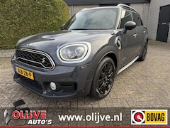MINI Countryman - 2.0 Cooper S E ALL4 Chili