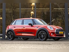 MINI One - 1.5 Pepper