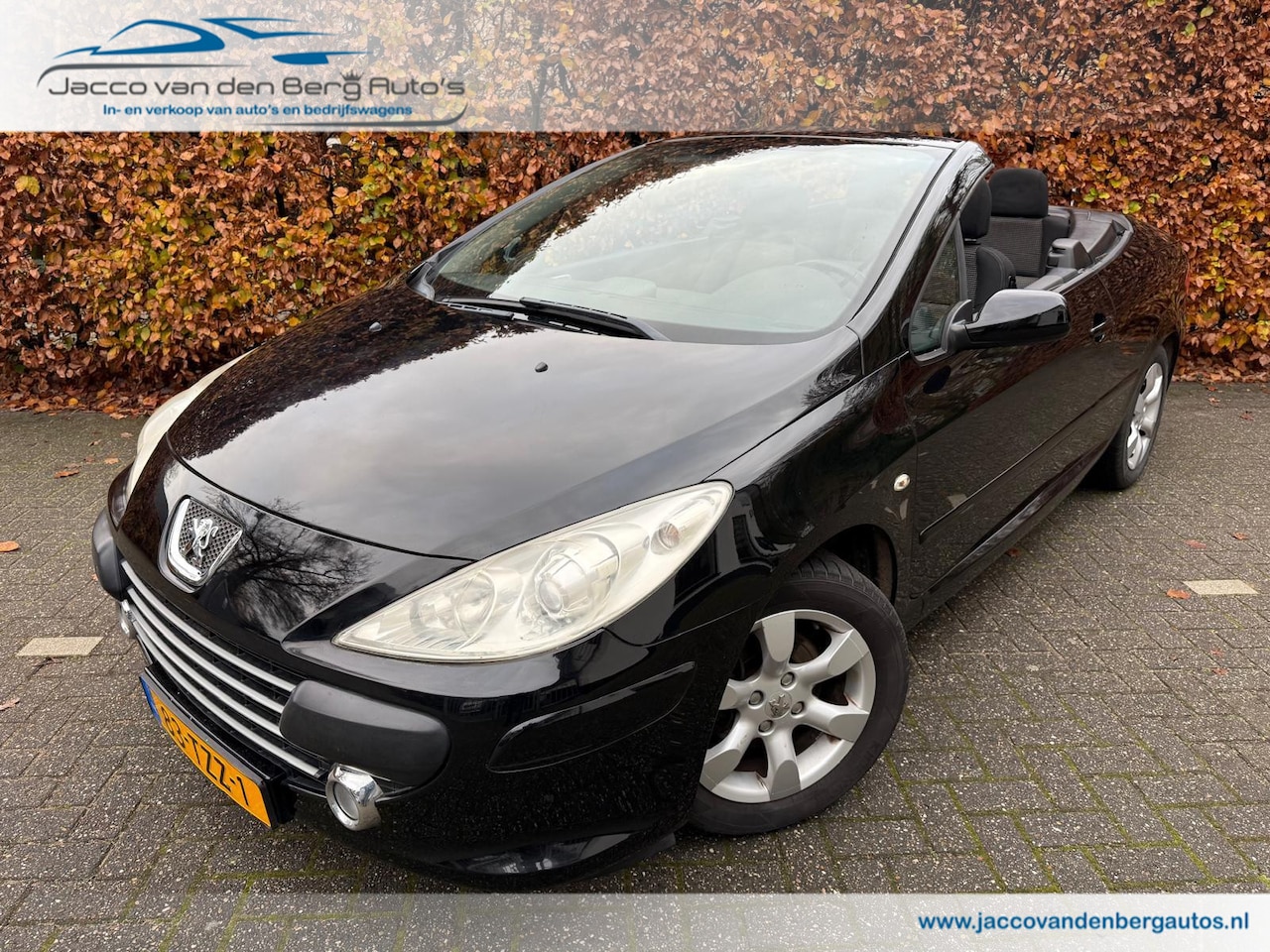 Peugeot 307 CC - 1.6i 16V Cabrio I Dealer Onderhouden - AutoWereld.nl