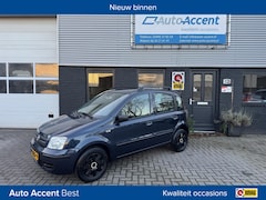 Fiat Panda - 1.2 Edizione Cool