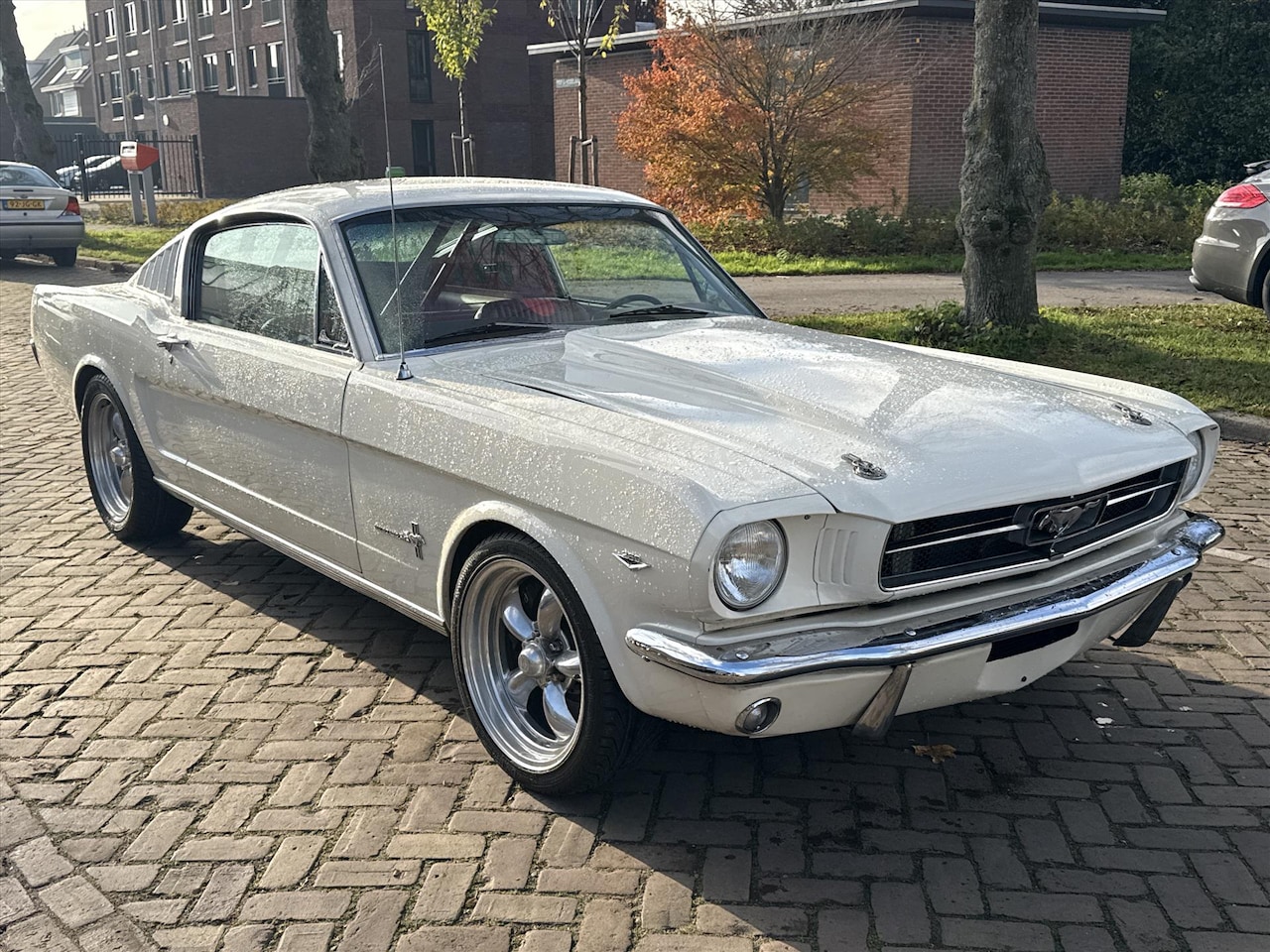 Ford Mustang - Cabrio 15 stuks op voorraad - AutoWereld.nl