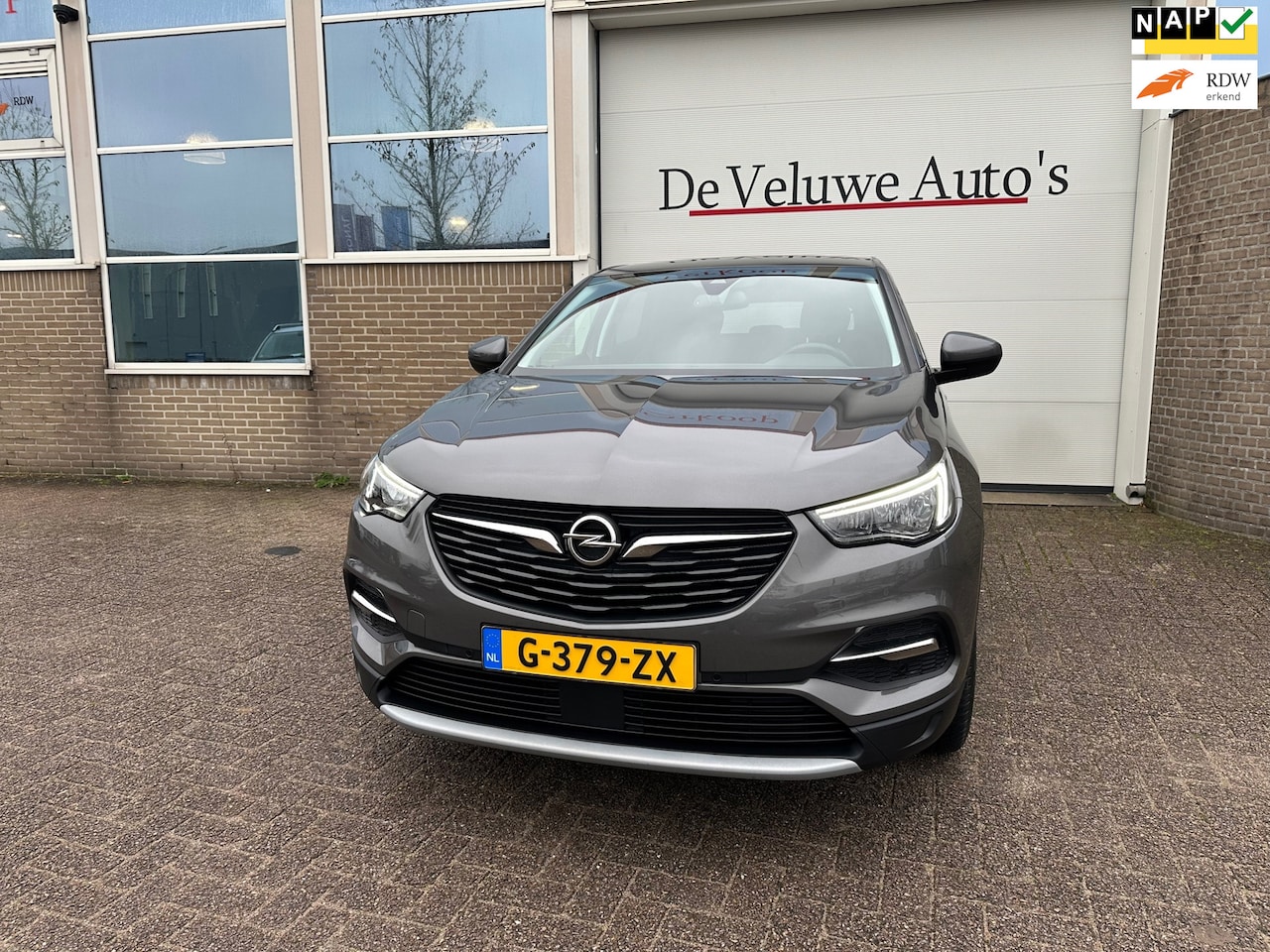 Opel Grandland X - 1.2 Turbo Business Executive |Trkhk|Carplay - AutoWereld.nl