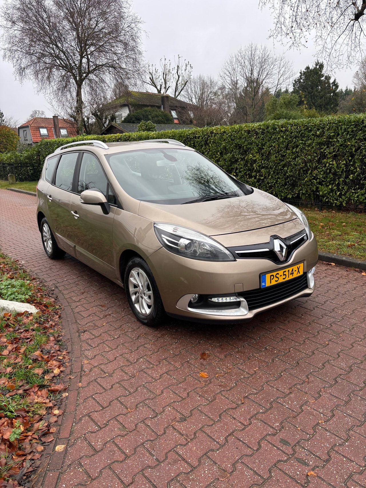 Renault Grand Scénic - 1.2 TCe Bose 7p. NWE DIST + APK! - AutoWereld.nl