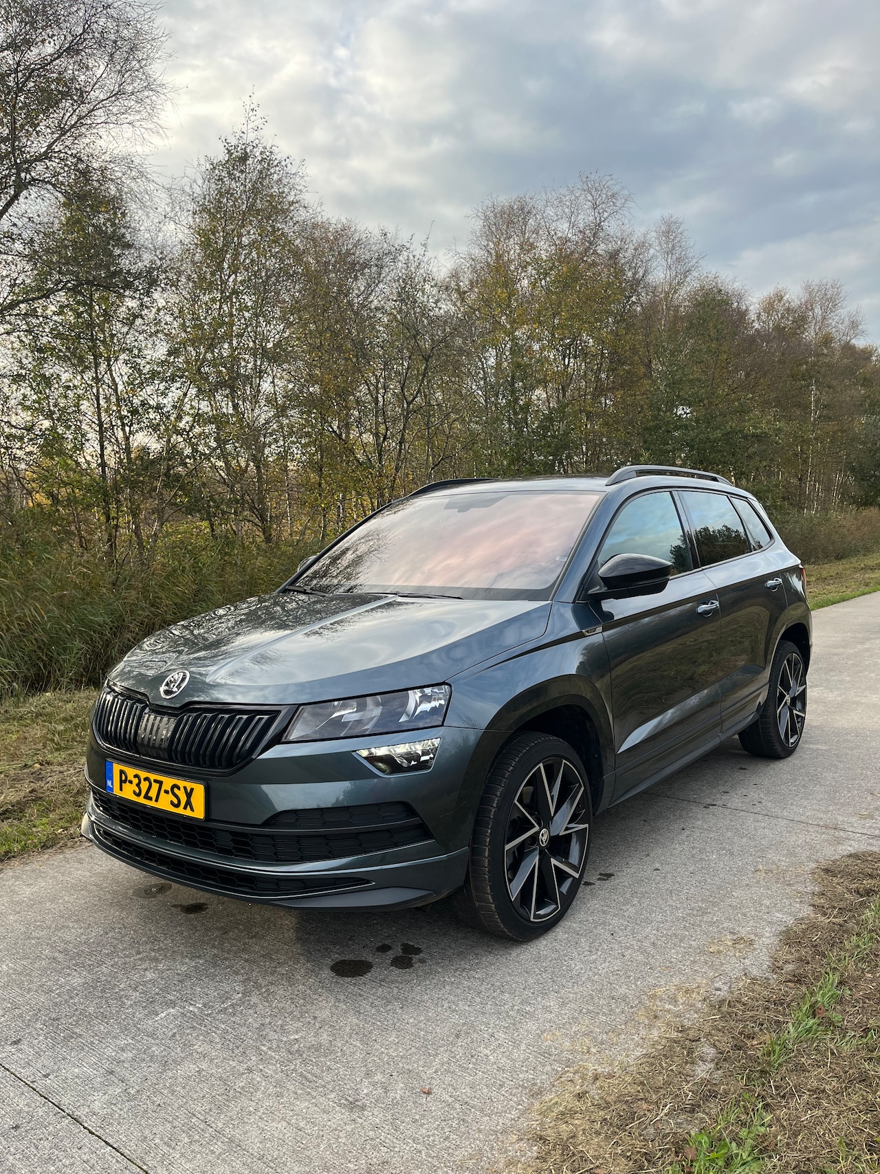 Skoda Karoq - 1.5 TSI ACT Sportline Business - AutoWereld.nl