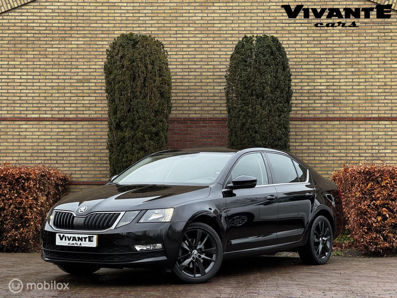Skoda Octavia - 1.0 TSI Ambition Business DSG*Carpaly*Cruise*Stoel.vrw - AutoWereld.nl