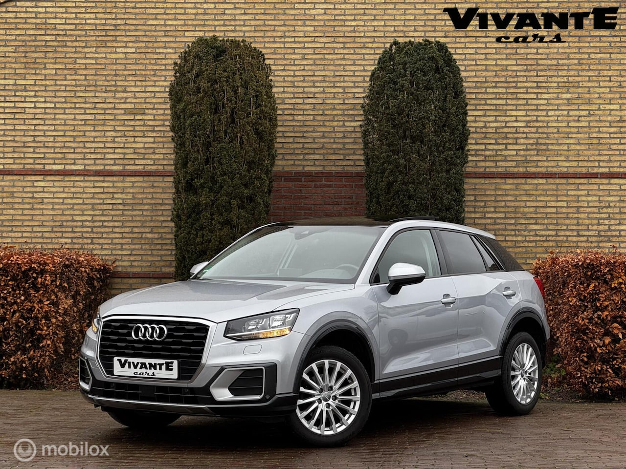 Audi Q2 - 35 TFSI CoD Design Pro Line Plus Pano*Virtial-Dash*Carplay*Cruise - AutoWereld.nl