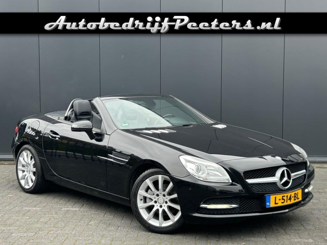 Mercedes-Benz SLK-klasse - SLK 200 Leder Airscarf Navi Cruise PTS - AutoWereld.nl