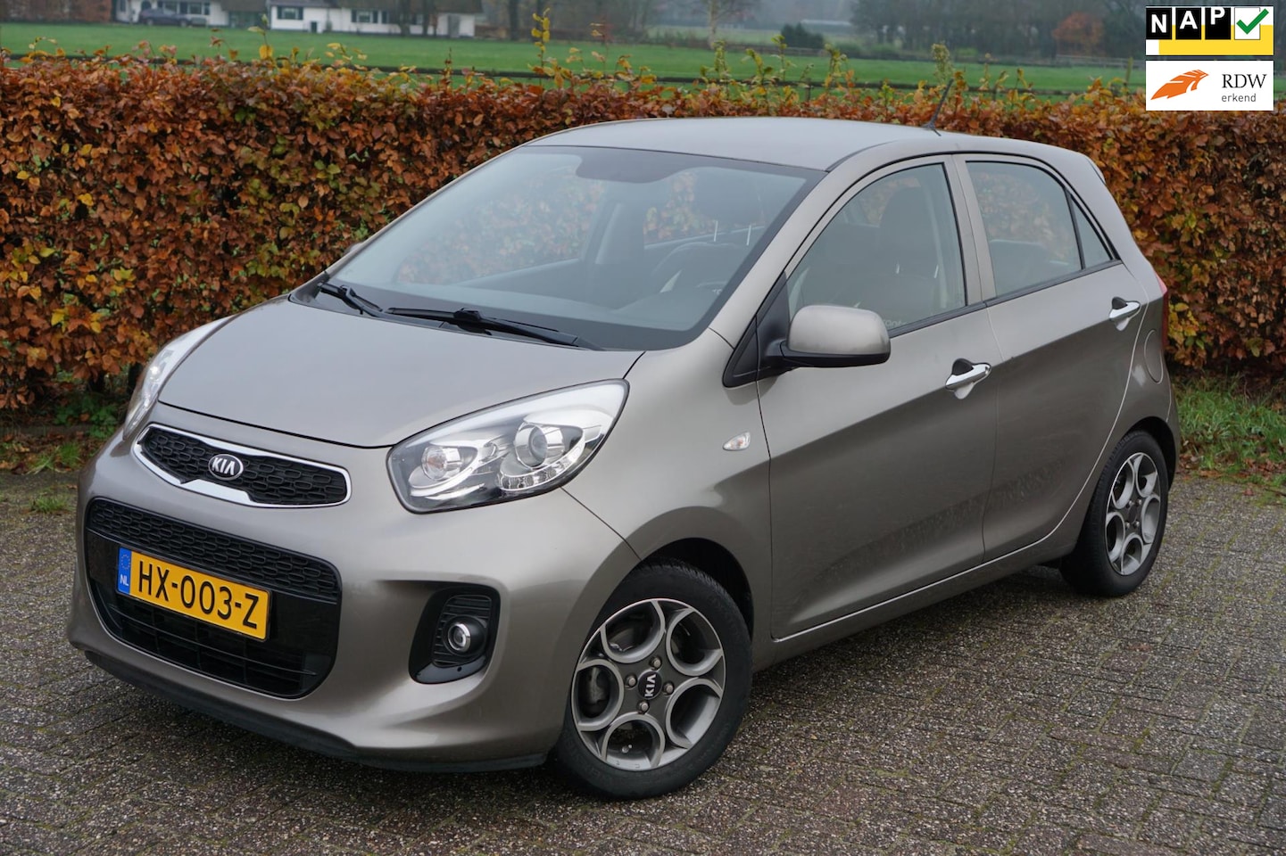 Kia Picanto - 1.0 CVVT DynamicLine|1e Eigenaar|Dealeronderhouden - AutoWereld.nl