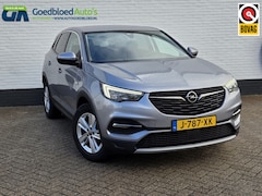 Opel Grandland X - 130 PK Turbo Business Executive | Stoel/Stuurverwarming | Comfor