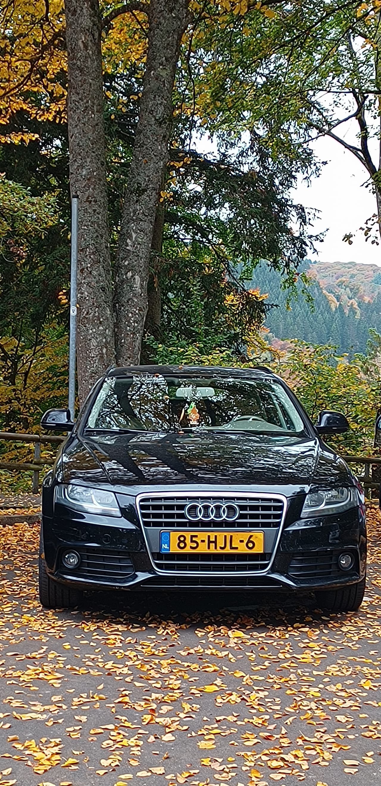 Audi A4 Avant - 1.8 TFSI Pro Line Business Automaat - APK tot 2026, May - AutoWereld.nl