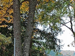 Audi A4 Avant - 1.8 TFSI Pro Line Business Automaat - APK tot 2026, May