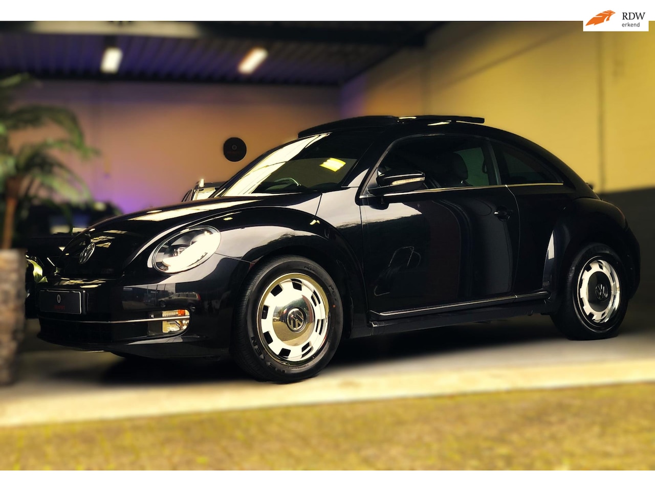 Volkswagen Beetle - 1.2 TSI Sport Design/ Retro LV/ Pano.dak - AutoWereld.nl