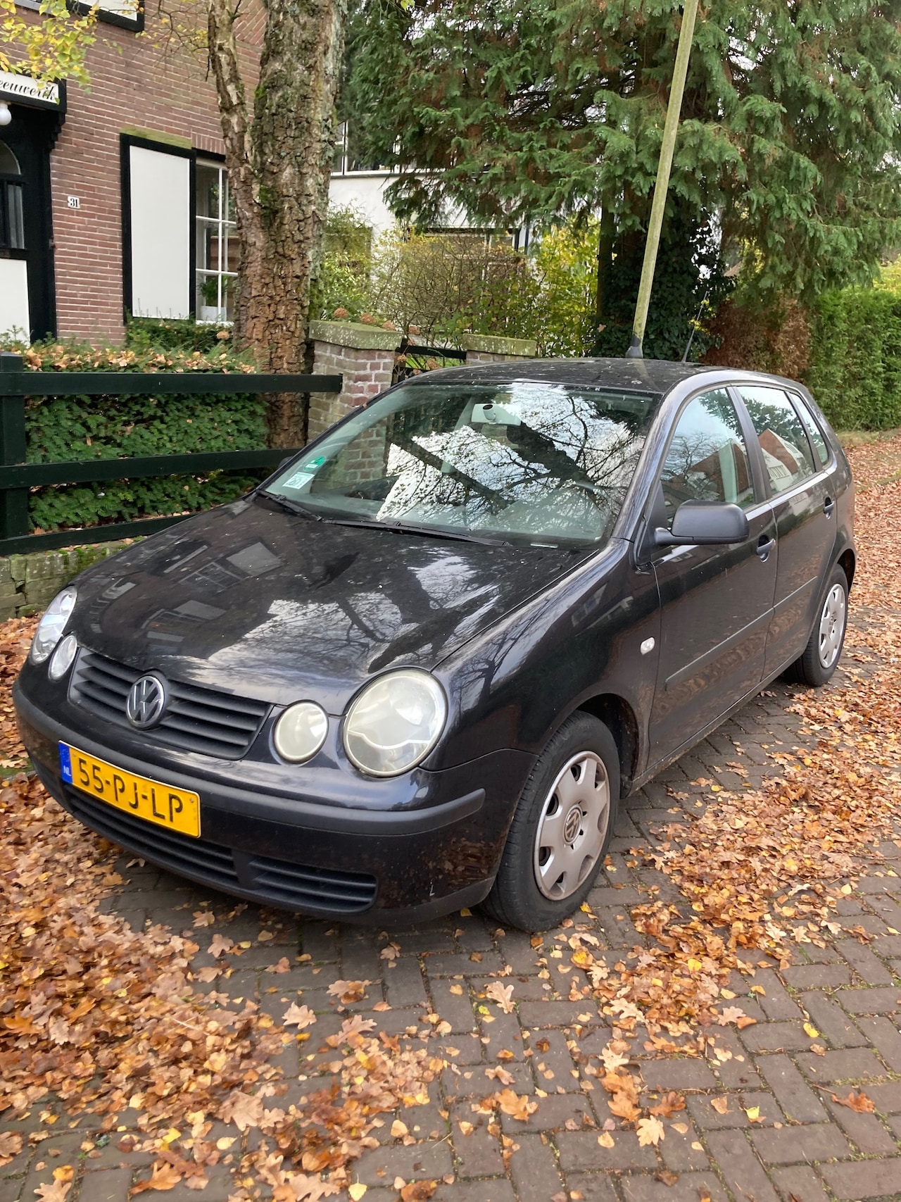 Volkswagen Polo - 1.2-12V - AutoWereld.nl