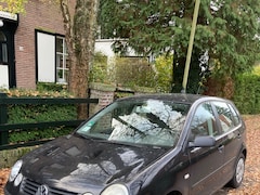 Volkswagen Polo - 1.2-12V