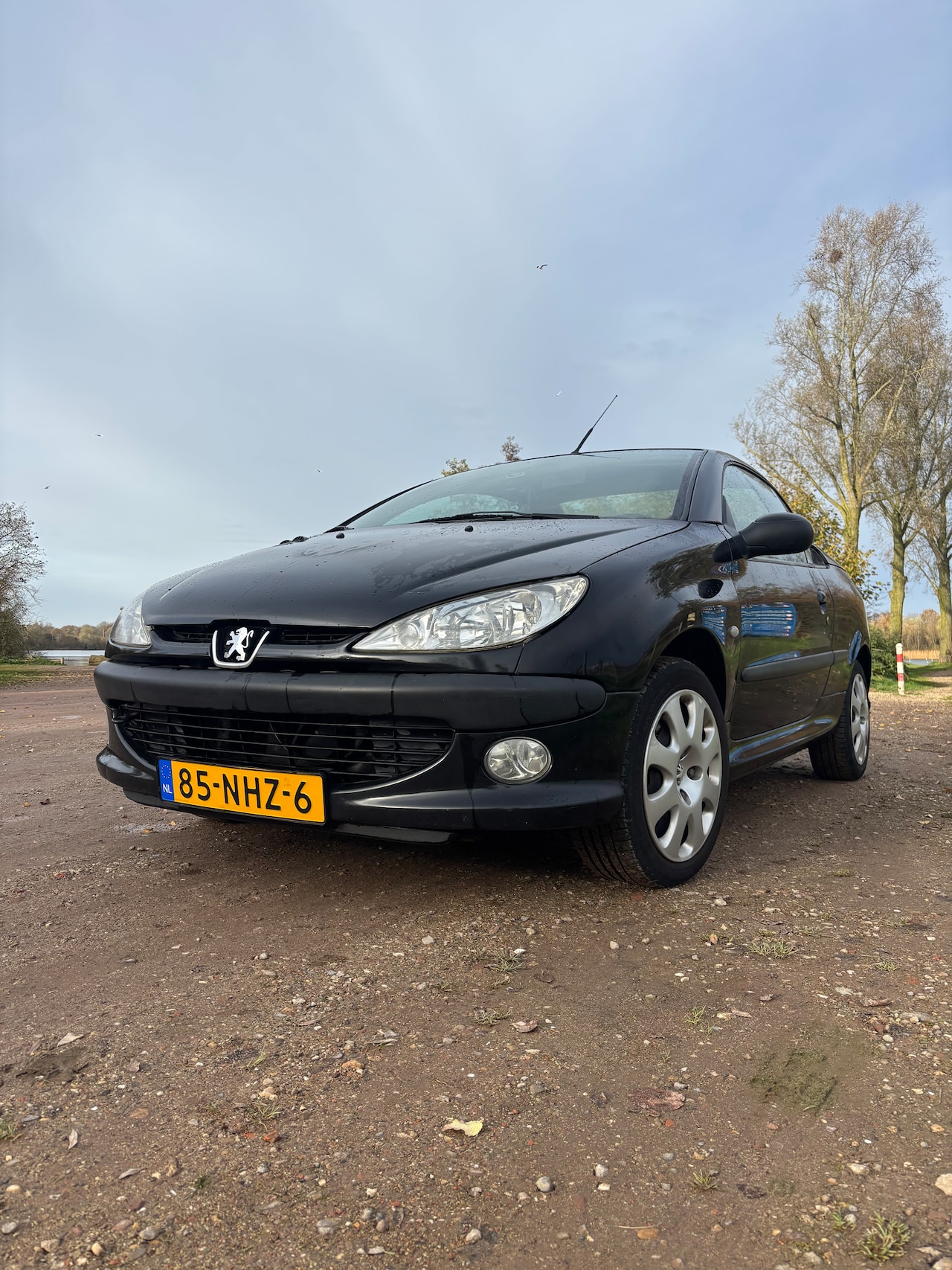 Peugeot 206 CC - 1.6-16V - AutoWereld.nl