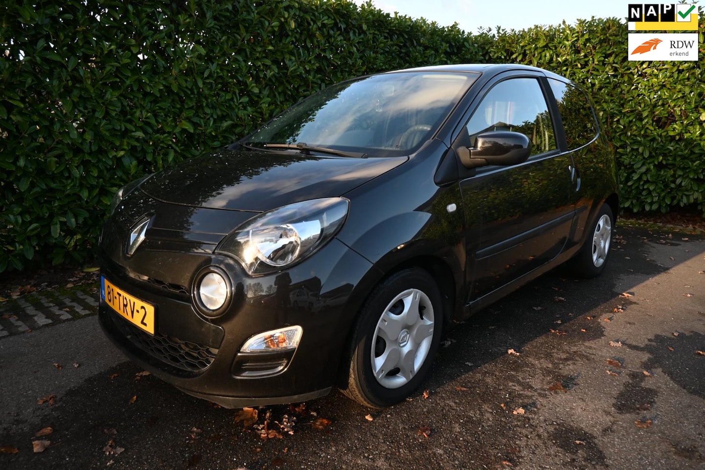 Renault Twingo - 1.2 16V Collection. Origineel Nederlandse auto met NAP. - AutoWereld.nl